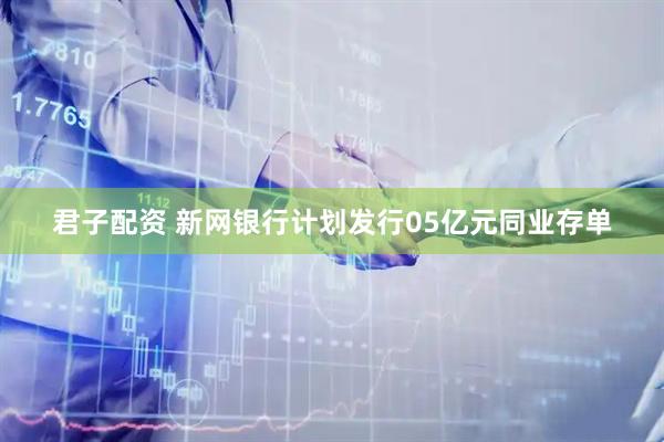 君子配资 新网银行计划发行05亿元同业存单